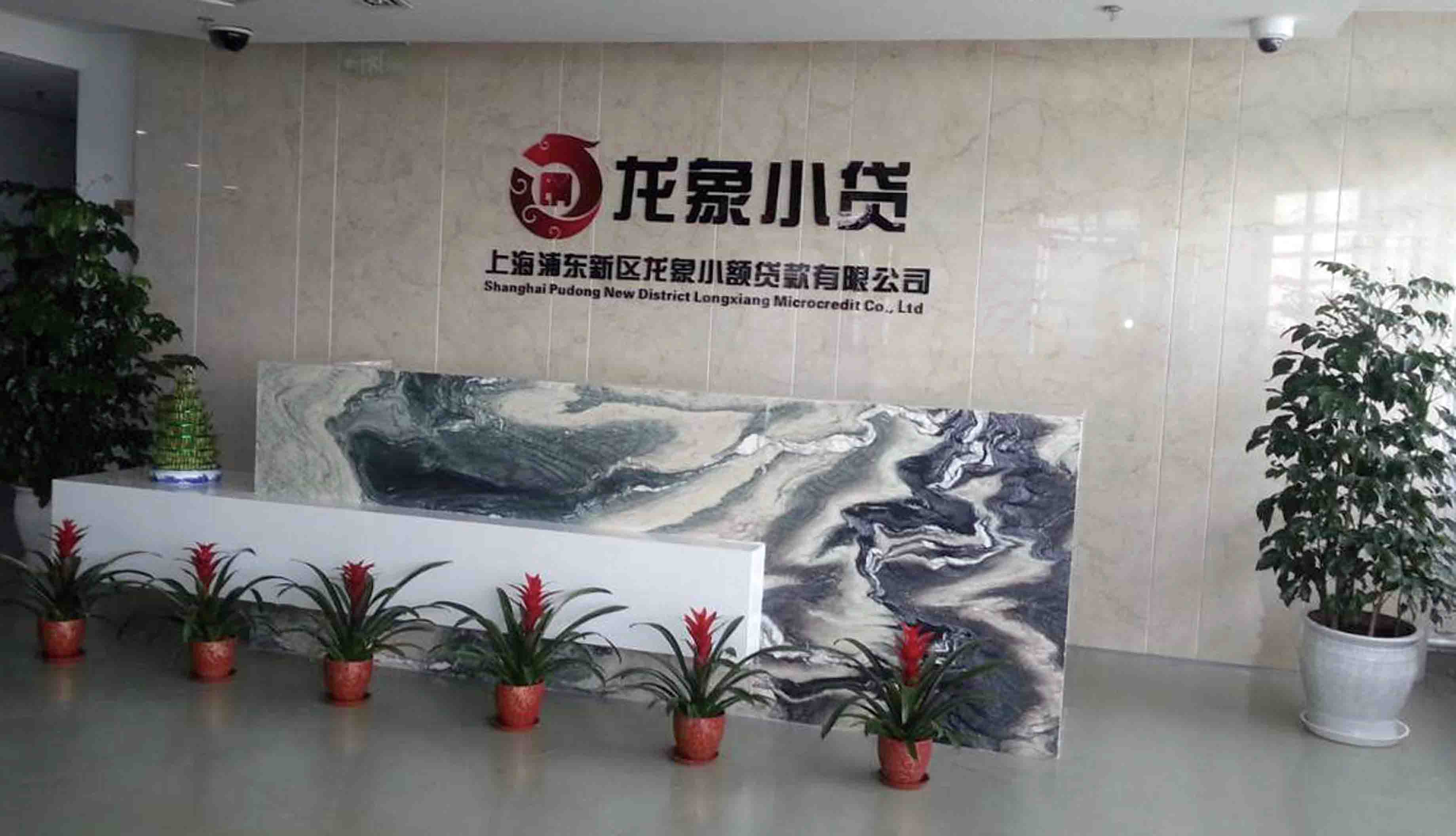 上海浦东新区龙象小额贷款有限公司正式挂牌营业.jpg